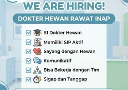 Loker dokter hewan